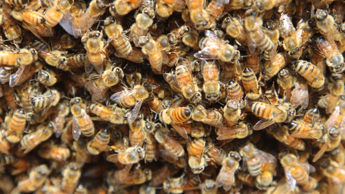 The Tragedy of Numbers, or Why (Some) REALTORS Should Embrace the Coming Storm