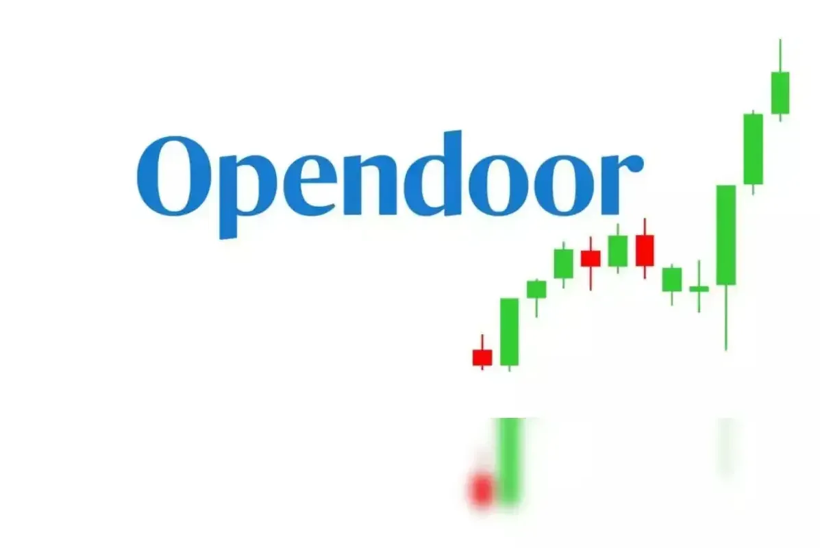 Examining the Ideas from Opendoor Retail Investors