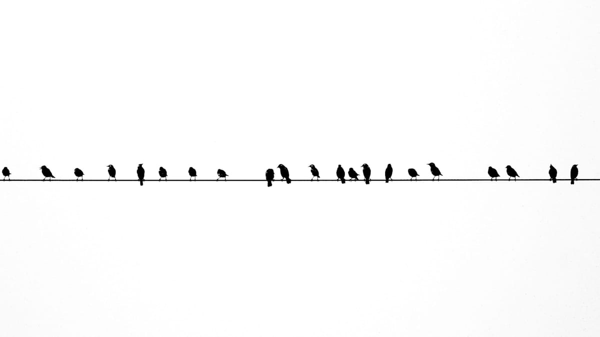 Not a Defendant But A Co-Conspirator