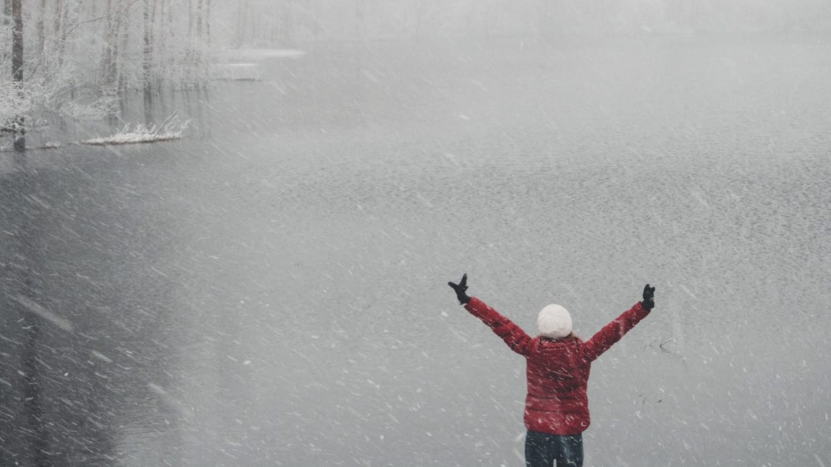 The Big Winners So Far in Sitzer v NAR: Re/Max and Anywhere