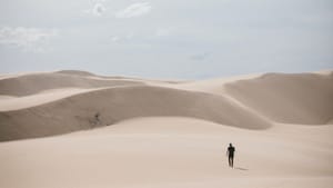 [VIP] Zillow 3Q22 Earnings: Lonesome Dove