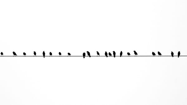 Not a Defendant But A Co-Conspirator