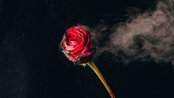 Zillow Earnings 1Q2022: The Thrill Is Gone