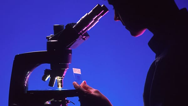 An Analysis of the Court's Dismissal of HomeServices from Batton v. NAR